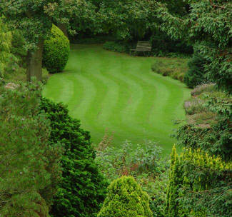 Lawn at Great Comp Garden - Kent